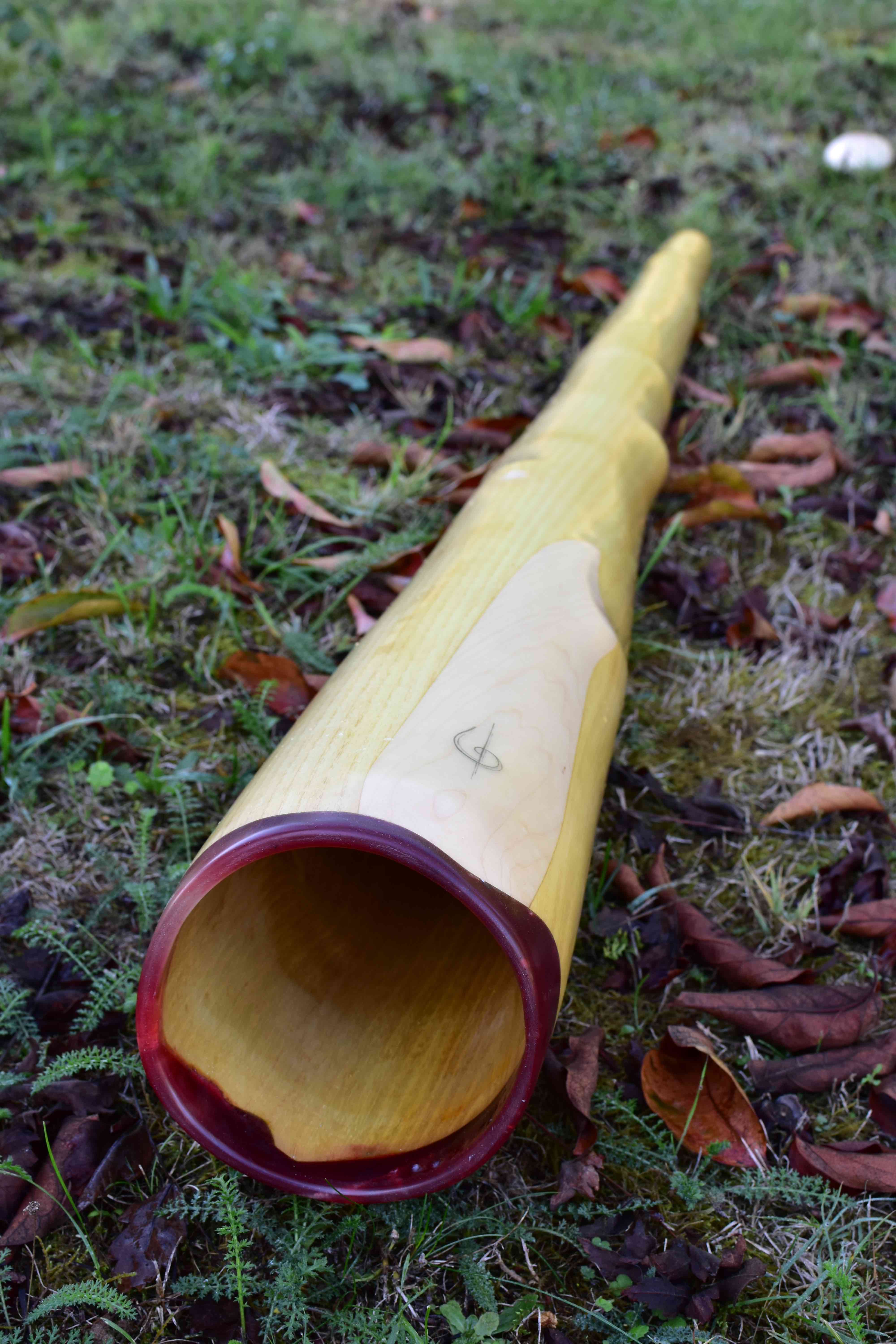 Didgeridoo, en Ré#, fabriqué en bois de robinier avec une cloche ronde avec érable et sipo
